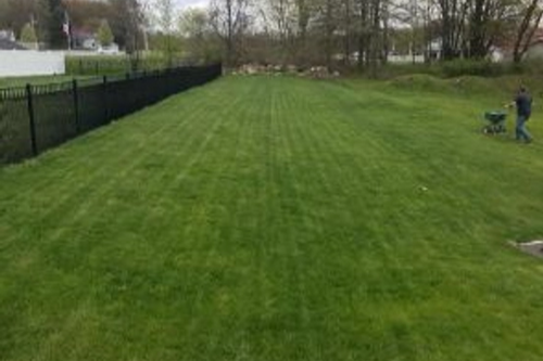 Sod Installs for Loyal Construction Management LLC in North Ridgeville, OH