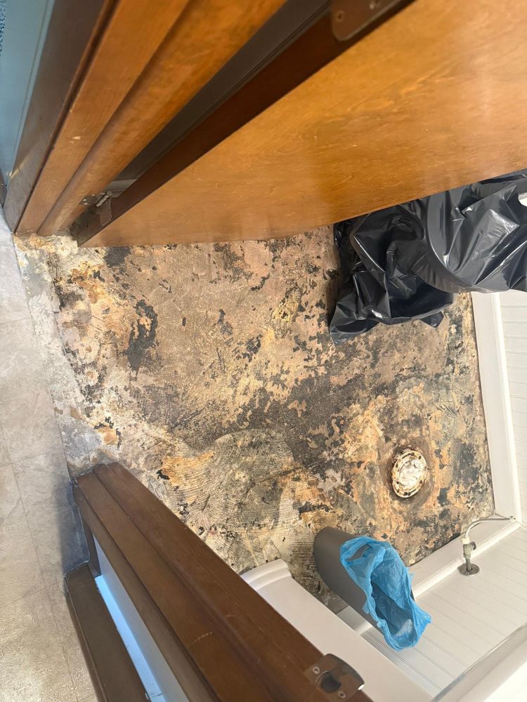 All Photos for Loyal Construction Management LLC in North Ridgeville, OH